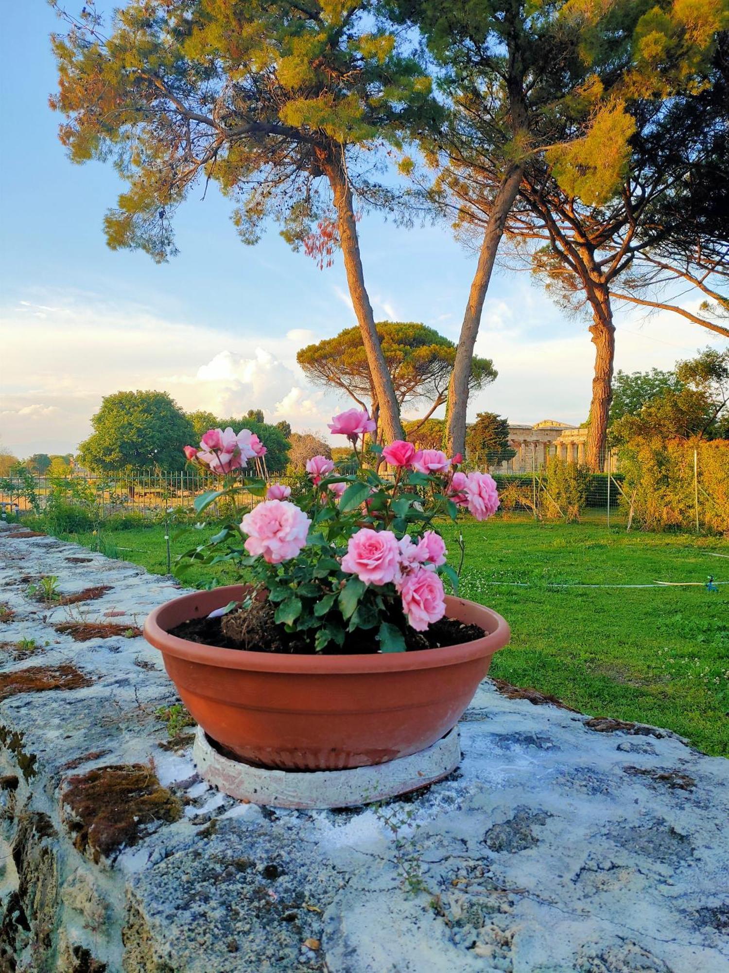 Il Giardino Di Athena 1 Apartment Paestum Exterior foto