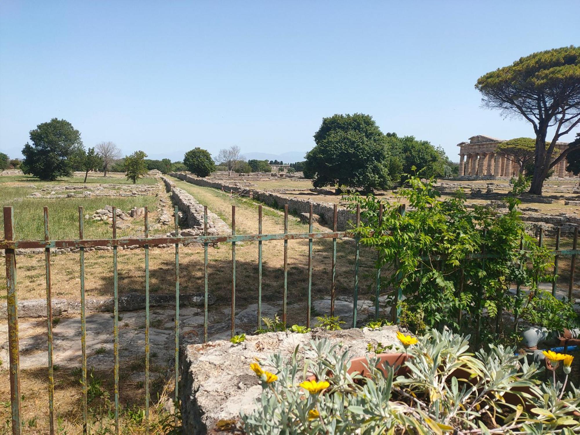 Il Giardino Di Athena 1 Apartment Paestum Exterior foto
